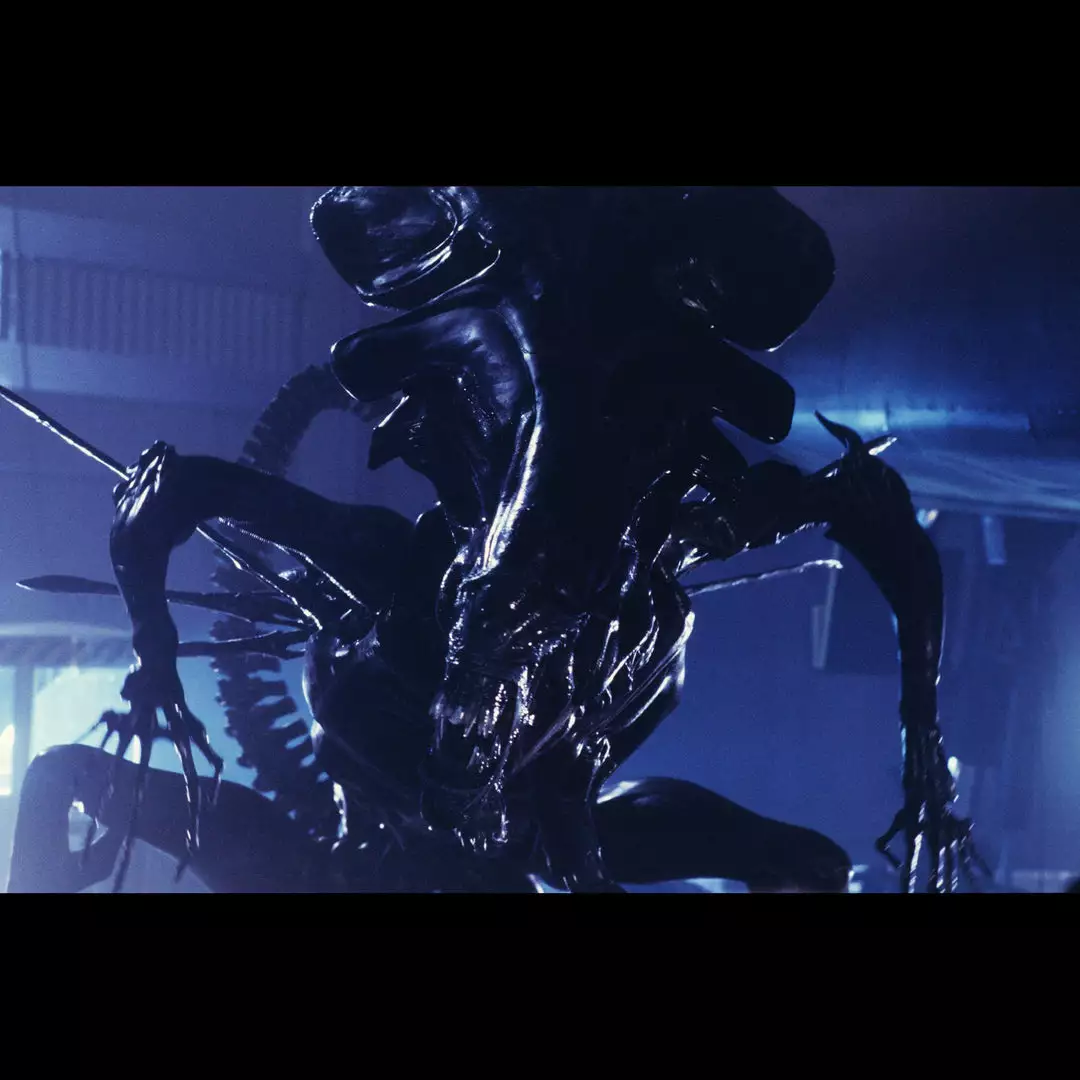 NERF LMTD ALIENS M41-A Blaster 9 NERF LMTD ALIENS M41-A Blaster