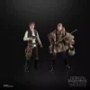 Star Wars The Black Series Heroes Of Endor Figures